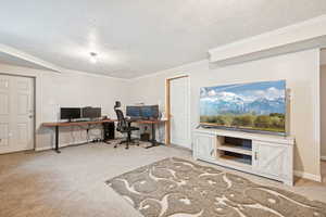 Office space featuring light colored carpet, a textured ceiling, and ornamental molding