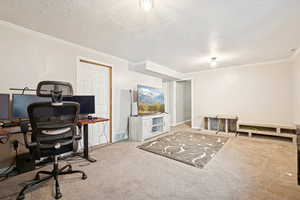 Carpeted home office with ornamental molding and a textured ceiling