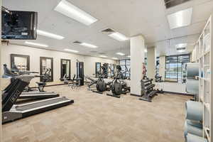 Workout area featuring light carpet and a drop ceiling