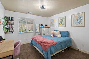 Carpeted bedroom with a textured ceiling and an office area