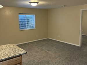 Mother-in-law living room featuring dark wood-style floors, a textured ceiling, and dark carpet