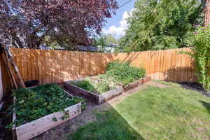 Fenced backyard with a vegetable garden