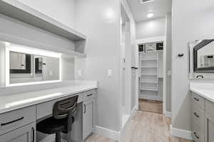 Bathroom featuring vanity, a spacious closet, and light wood-style flooring