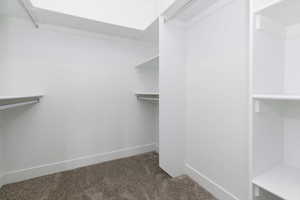 Spacious closet with dark colored carpet