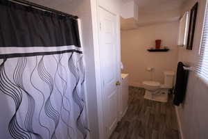 Full bath featuring dark wood-style floors, vanity, and curtained shower