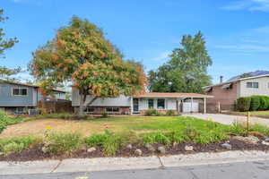 Split level home with concrete driveway and an attached carport