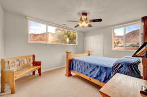 Bedroom with a closet, carpet, multiple windows, and a mountain view