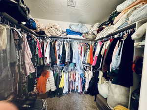 Owner's Walk-in Closet