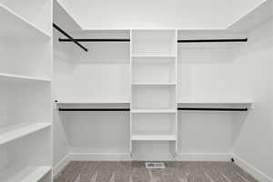 Spacious closet featuring carpet floors