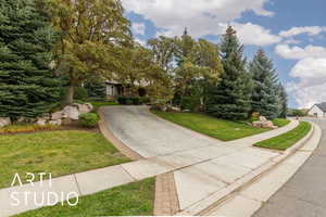 Obstructed view of property featuring a front lawn and view of scattered trees