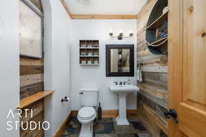 Bathroom featuring dark stone finish floors and wooden walls