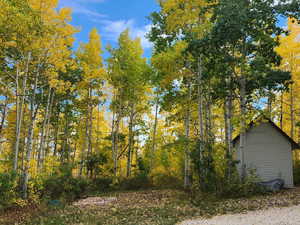 View of yard featuring a forest view
