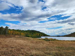 Water view with a forest