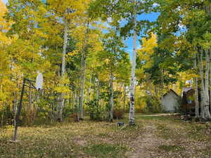View of yard with a forest view