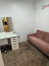 Office space with dark colored carpet