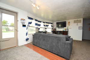 Carpeted living area featuring wood finished floors and track lighting