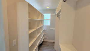 Walk in closet with dark wood-style floors