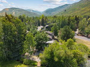 View of mountain background featuring a forest