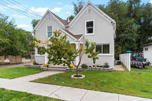 View of front facade, lawn and tree