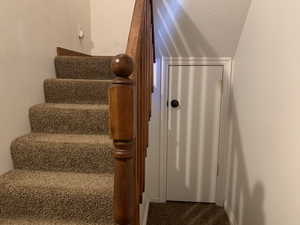 Stairway featuring carpet floors
