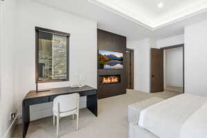 Carpeted bedroom with a glass covered fireplace and a desk