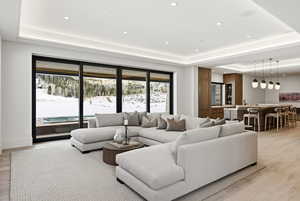 Living area with light wood-type flooring, a raised ceiling, and recessed lighting