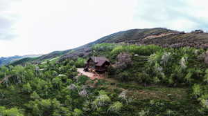 Mountain view with a tree filled landscape