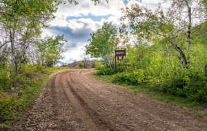 View of dirt / gravel road