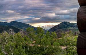 Mountain view featuring a heavily wooded area