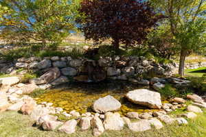 View of yard with a small pond