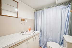 Full bathroom with toilet and vanity