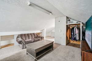 Living area featuring carpet floors, vaulted ceiling, and a textured ceiling