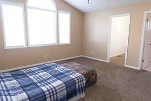 Master bedroom featuring vaulted ceiling and carpet floors