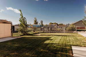 View of yard featuring a residential view
