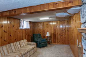 Carpeted living area featuring a textured ceiling and wood walls & fireplace
