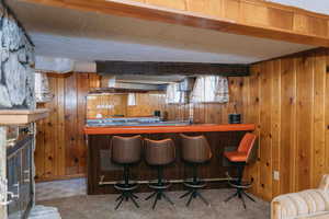 Indoor bar with wooden walls, tile patterned floors, and carpet