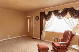 Living area with carpet floors and a textured ceiling
