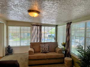 Carpeted living area with plenty of natural light and a textured ceiling