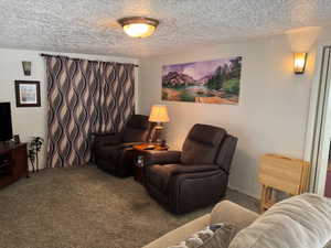 Carpeted living room featuring a textured ceiling