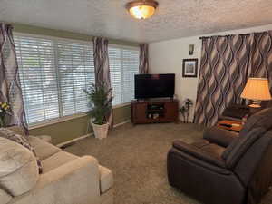 Living room featuring a textured ceiling and carpet floors