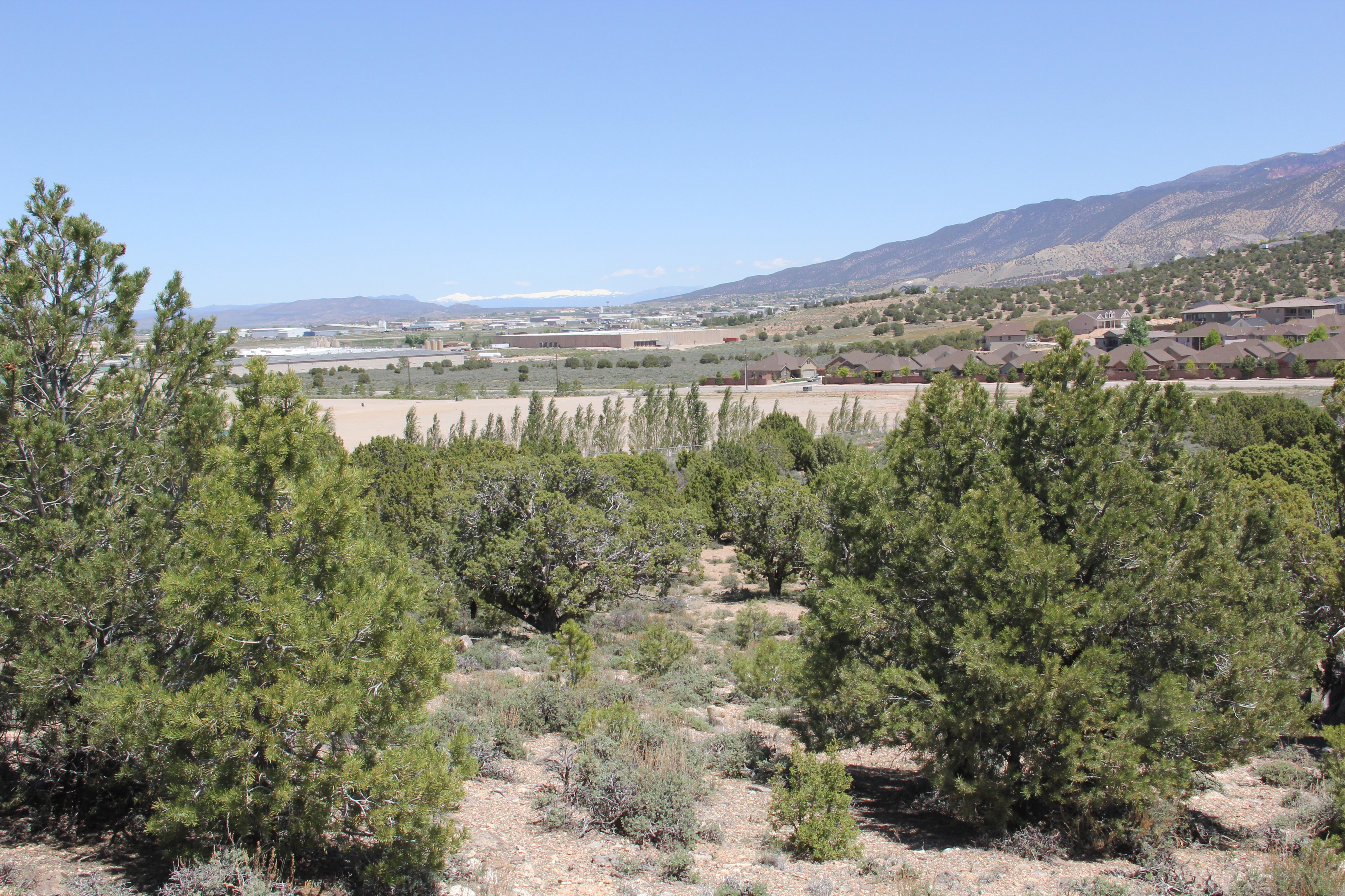 View of mountain backdrop