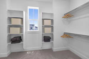 Spacious closet with light carpet