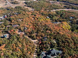 Aerial overview of property's location with a heavily wooded area