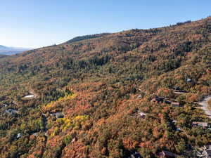 Mountain view featuring a forest
