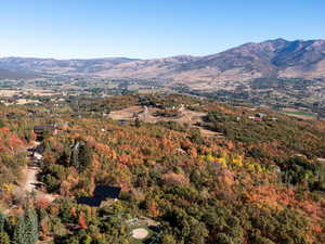 View of mountain backdrop featuring a heavily wooded area