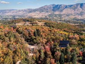 View of mountain background featuring a heavily wooded area