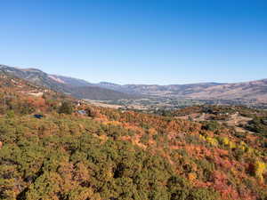 View of mountain backdrop with a heavily wooded area