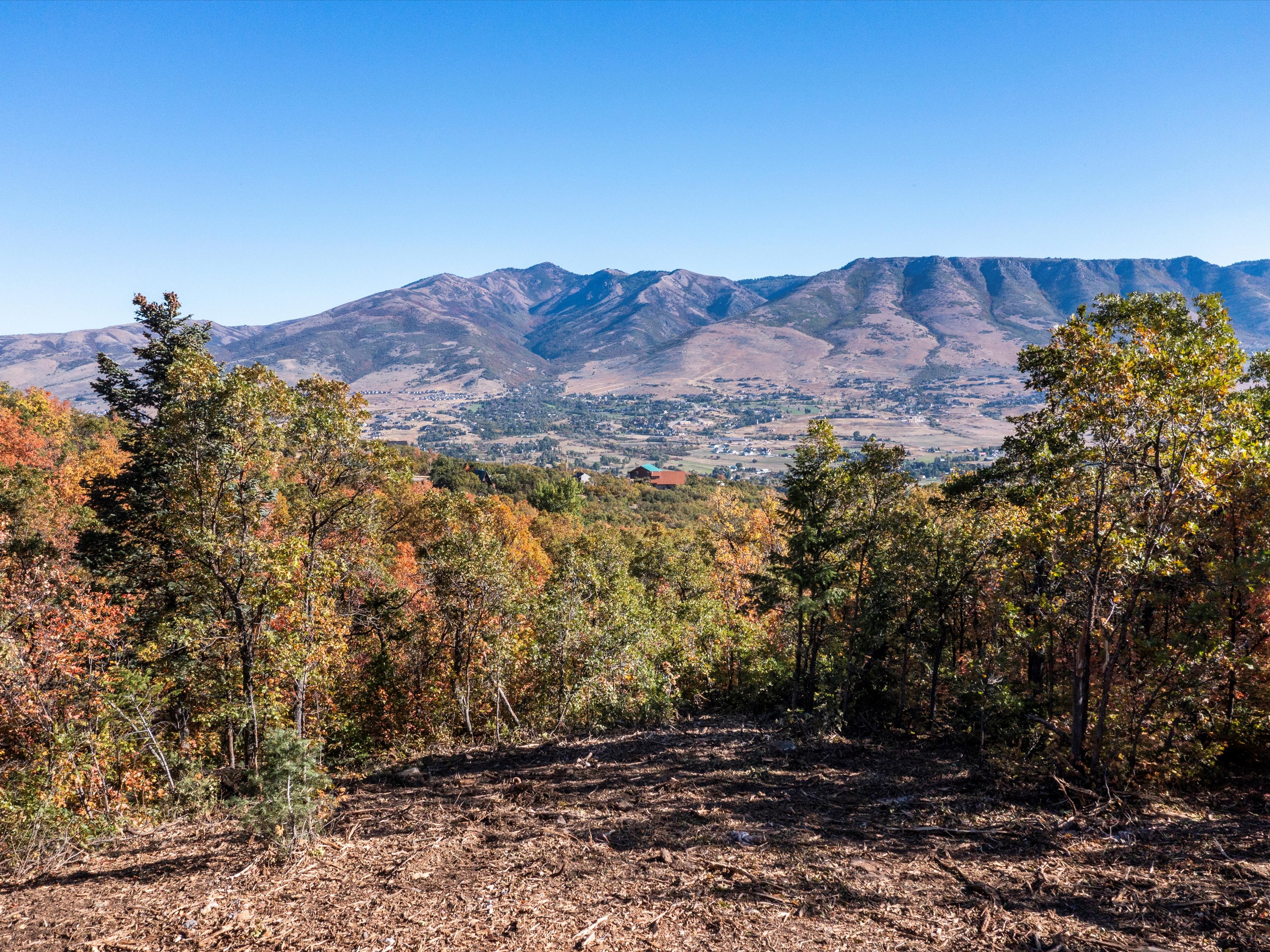 Mountain view