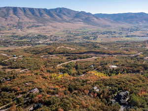 Mountain view with a forest