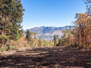 View of mountain background with a forest